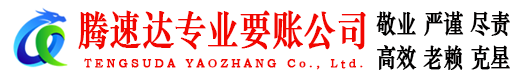 鸠江讨债公司